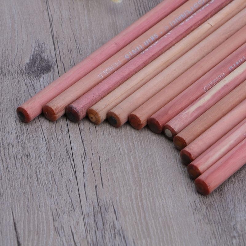 12Pcs Professional Soft Pastel - đánh giá và giá Colored Pencil Professional