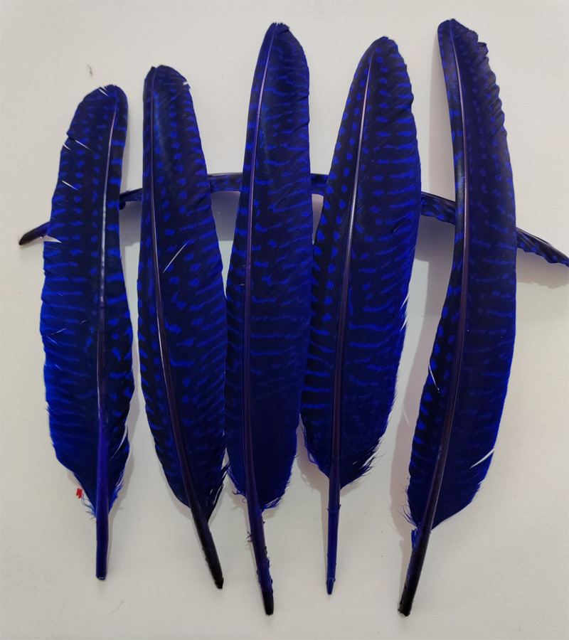 перья!100Pcs/Lot!14-20cm Multi - đánh giá và giá Art Quilling Craft