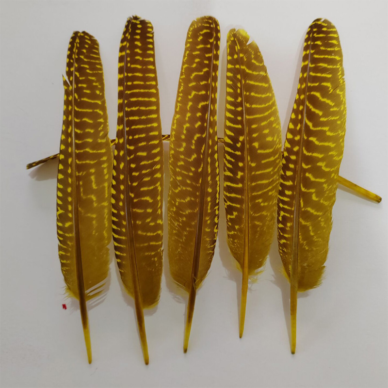 перья!100Pcs/Lot!14-20cm Multi - đánh giá và giá Art Quilling Craft
