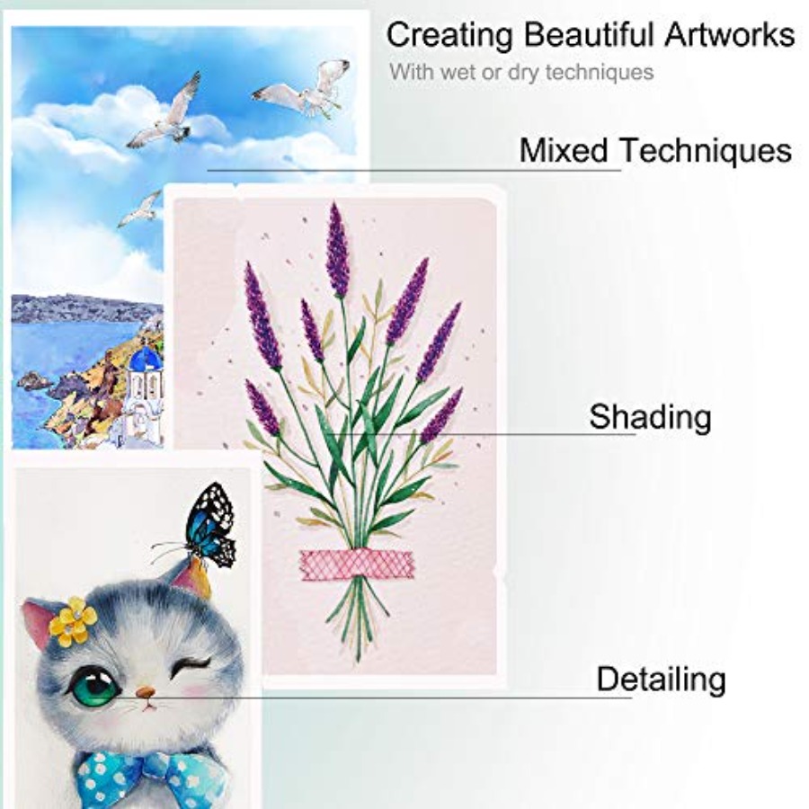 Professional Watercolor Pencil - đánh giá và giá Colored Pencil Professional